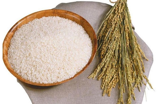 虾稻米和普通米区别